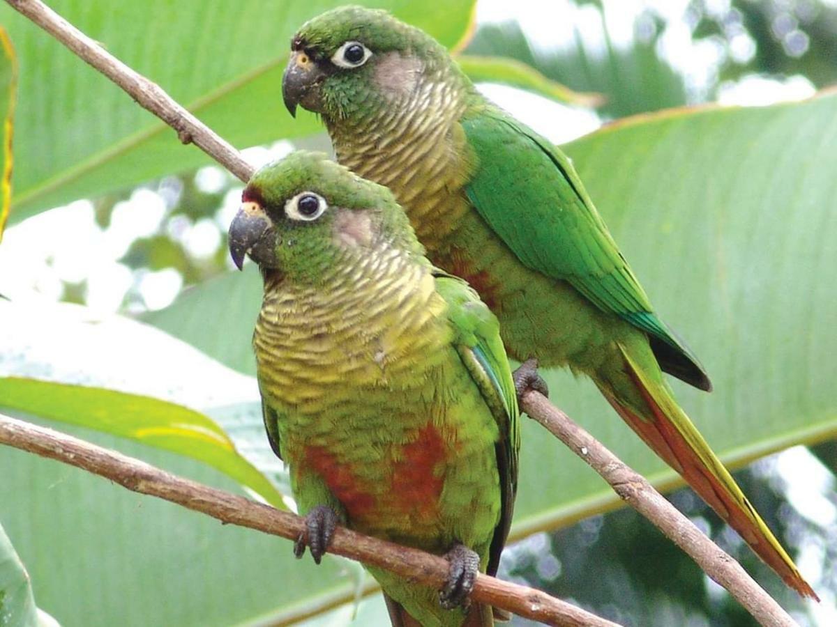 Chalé da Katia Ilhabela Esterno foto